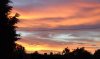 Sunset____blazing_silhouette_by_digitaldisaster.jpg