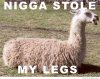 nigga-stole-my-legs.jpg