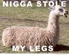 nigga-stole-my-legs.jpg nigga-stole-my-legs.jpg