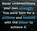 bornPurpose2.jpg