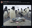 penguins-hit-back.jpg