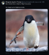 1744118963588.png
