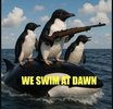 we-swim-at-dawn.jpg