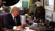 13 Without-Words-gif-445x250.gif
