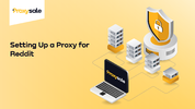 Setting Up a Proxy for Reddit.png