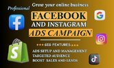 Shopify Facebook and Instagram ads campaign .jpg