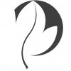 new-vivio-logo-leaf-only.jpg