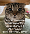 SEO-Cat-03.jpg