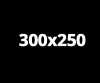 Medium-Rectangle-300x250.jpg