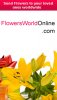 Flowersworldonline_m.jpg