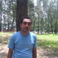 Mohammad Morshed Alam