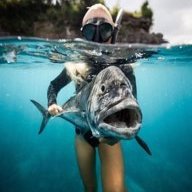 Stacy Angler