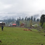 pakibuz
