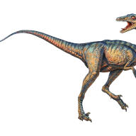 Troodon Media