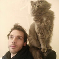 Fotis Chatzinicolaou