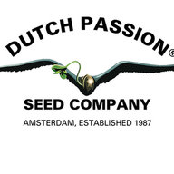 MT_Dutch_Passion