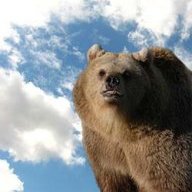 SkyGrizzly