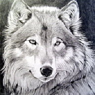 Sergio M