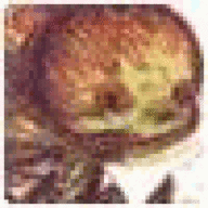 EDEffomotoork