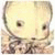 bahStoogezeta
