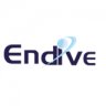 Endive-Software