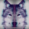 HuskyFur
