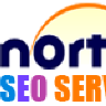 nortonseo services