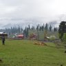 pakibuz