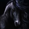 Dark Horse- SB