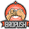 BroPush