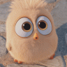 Sammy8
