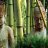 tribalfusion