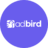 Adbird.co