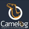 Camelog.com CPI/CPA validation tool
