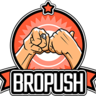 BroPush